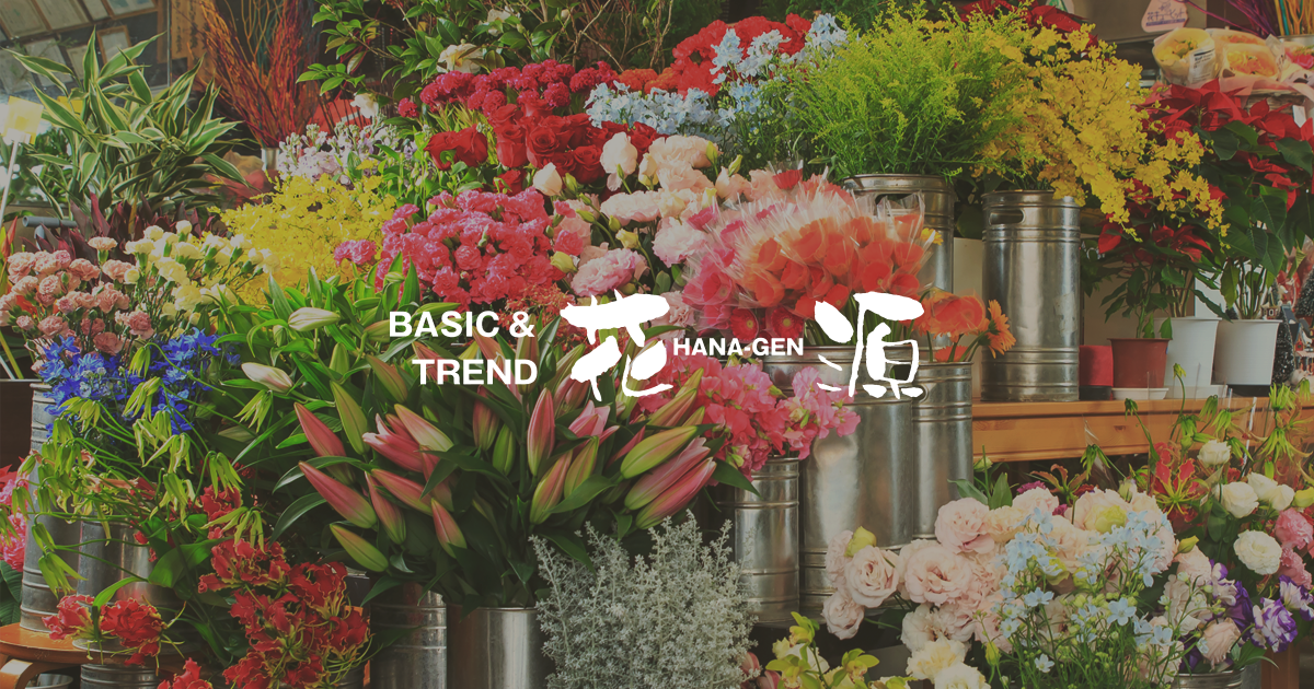 花源 Hana Gen 鹿児島県南九州市 指宿市 鹿児島市に3店舗構える花屋